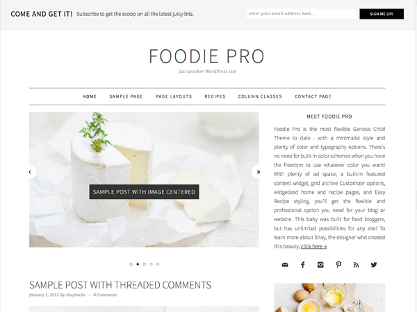 Foodie Pro website example screenshot
