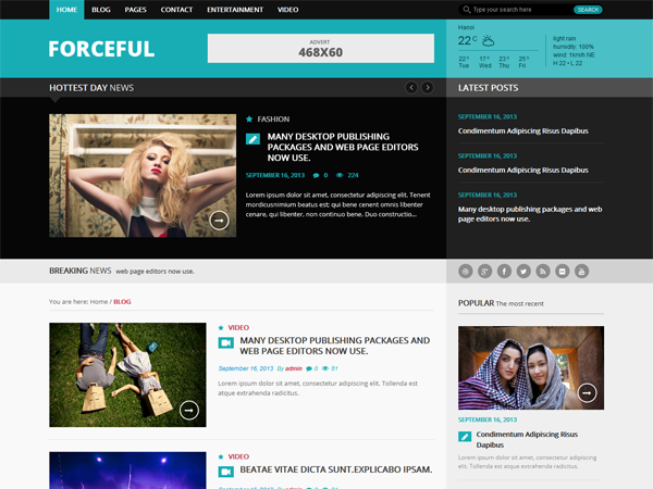 forceful-light WordPress theme, websites list used forceful-light theme forceful-light theme websites examples