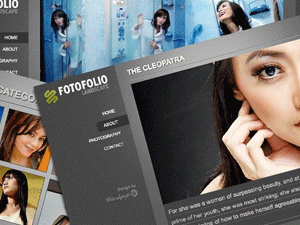 fotofolio-landscape theme websites examples