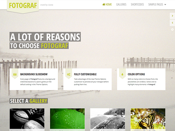 fotograf theme websites examples