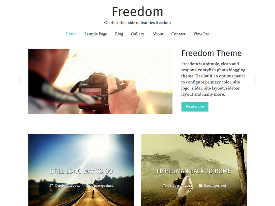 Freedom website example screenshot