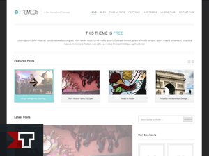 Fremedy Child Theme theme websites examples