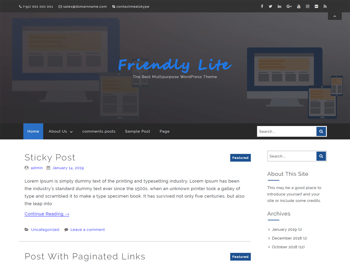 friendly-lite theme websites examples
