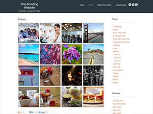 gdgallery theme websites examples