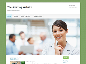 gdmedical theme websites examples