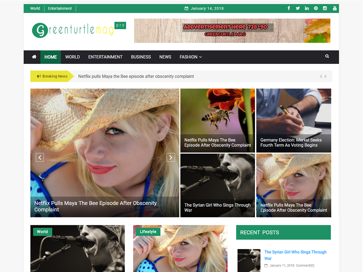 greenturtle-mag theme websites examples