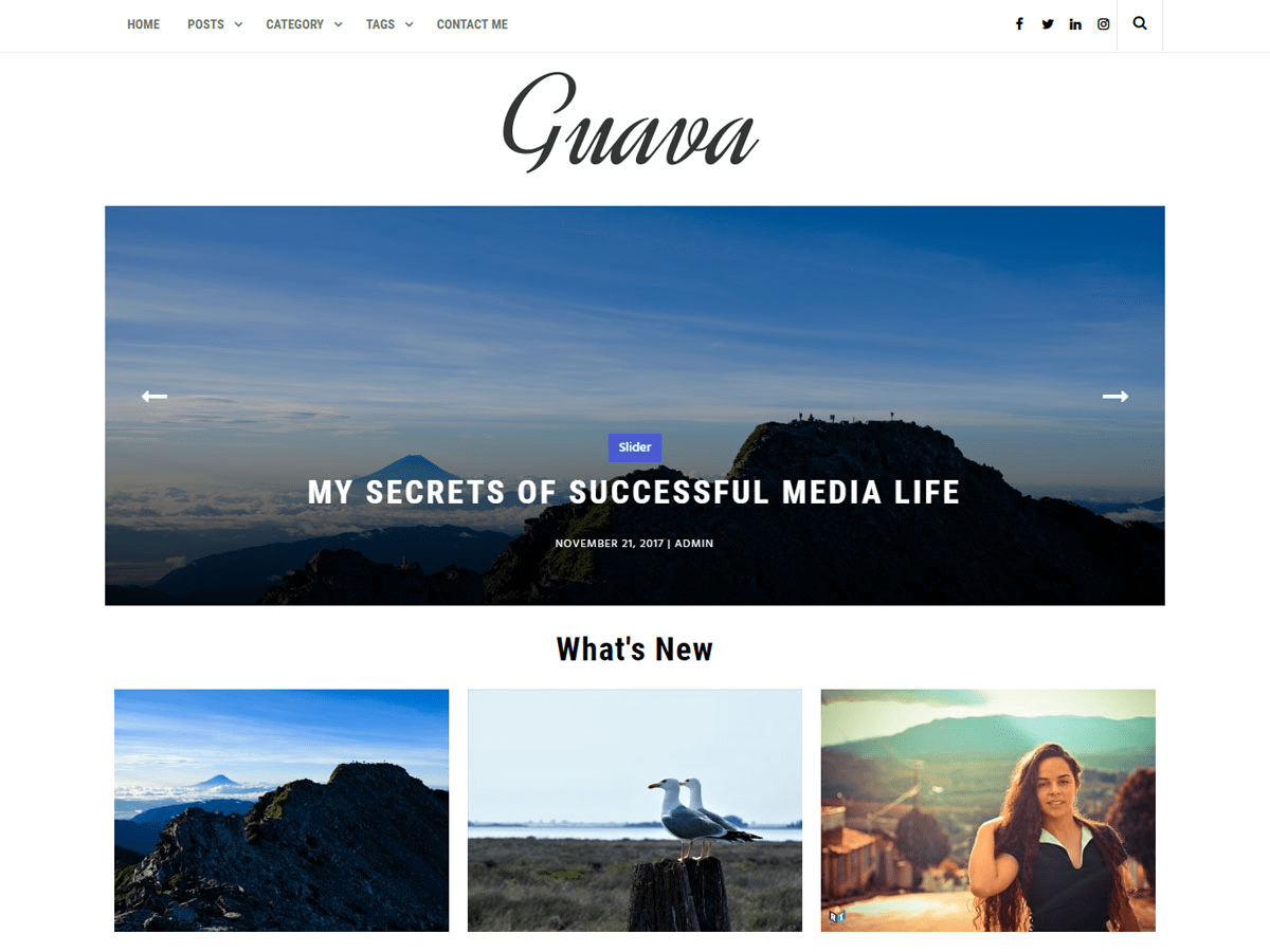 guava theme websites examples