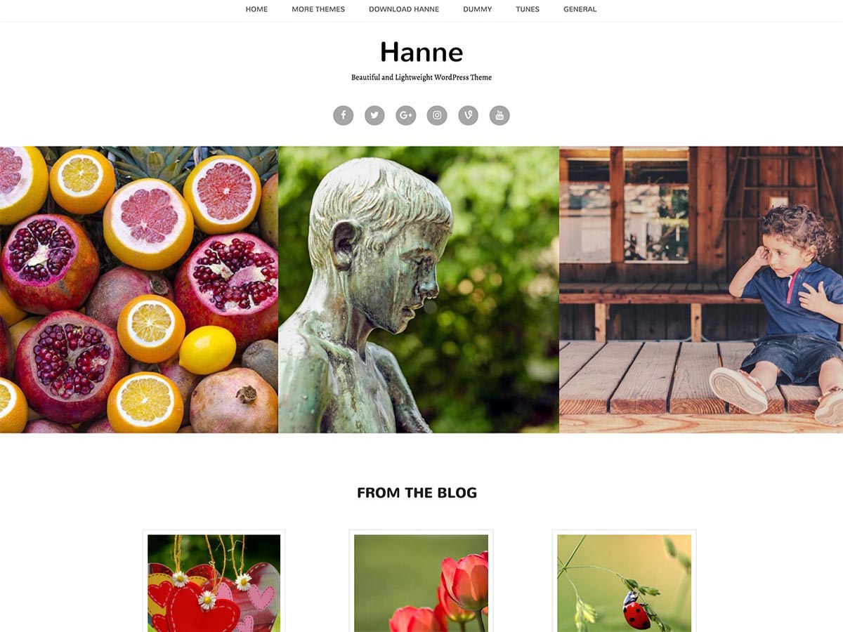 hanne theme websites examples