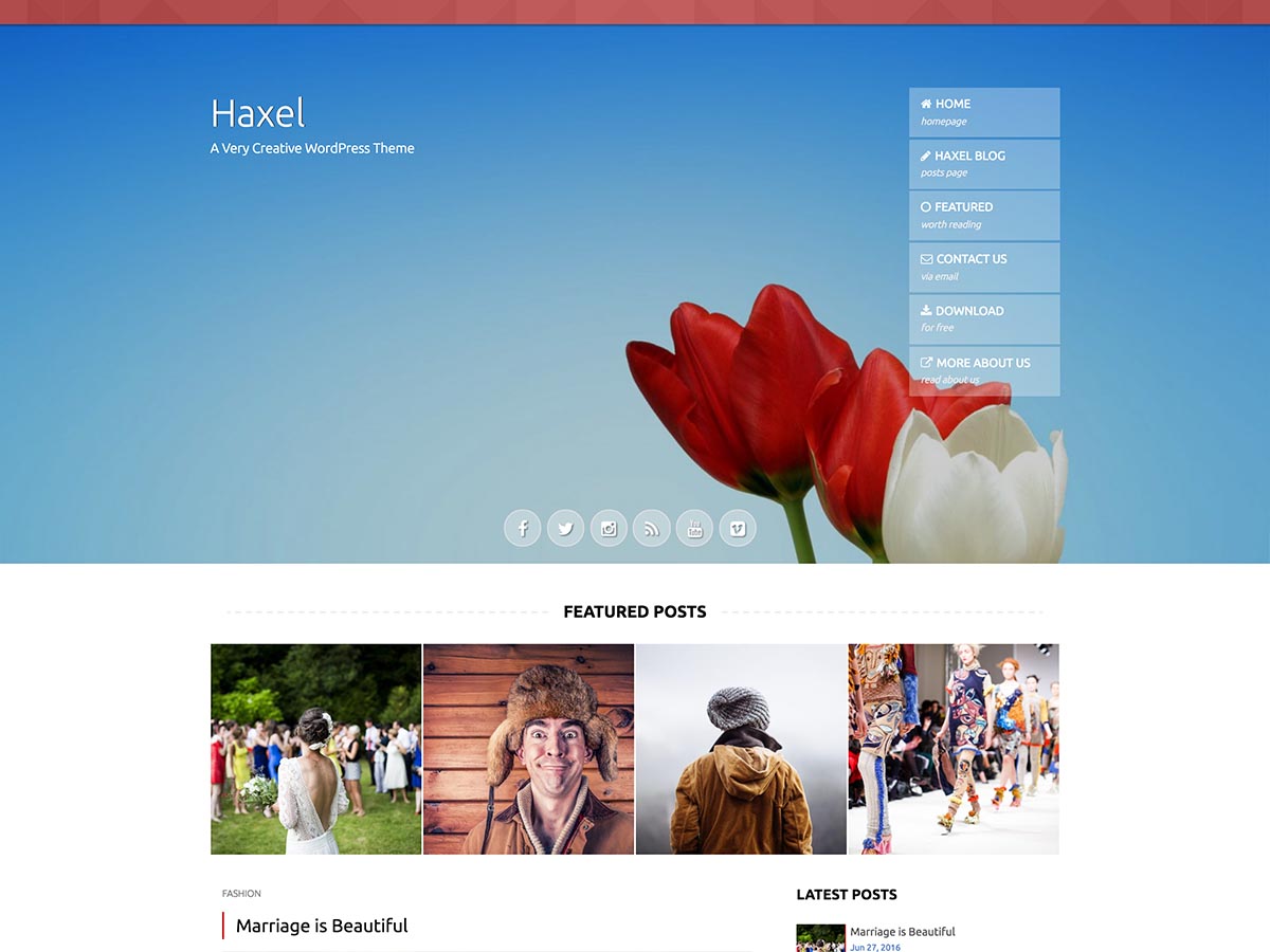 Haxel theme websites examples