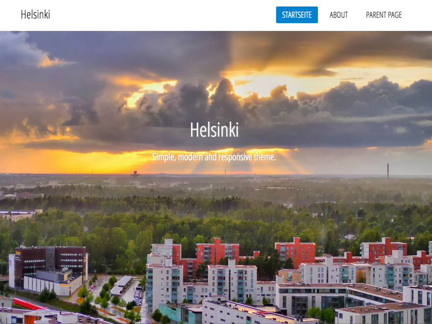 Helsinki theme websites examples