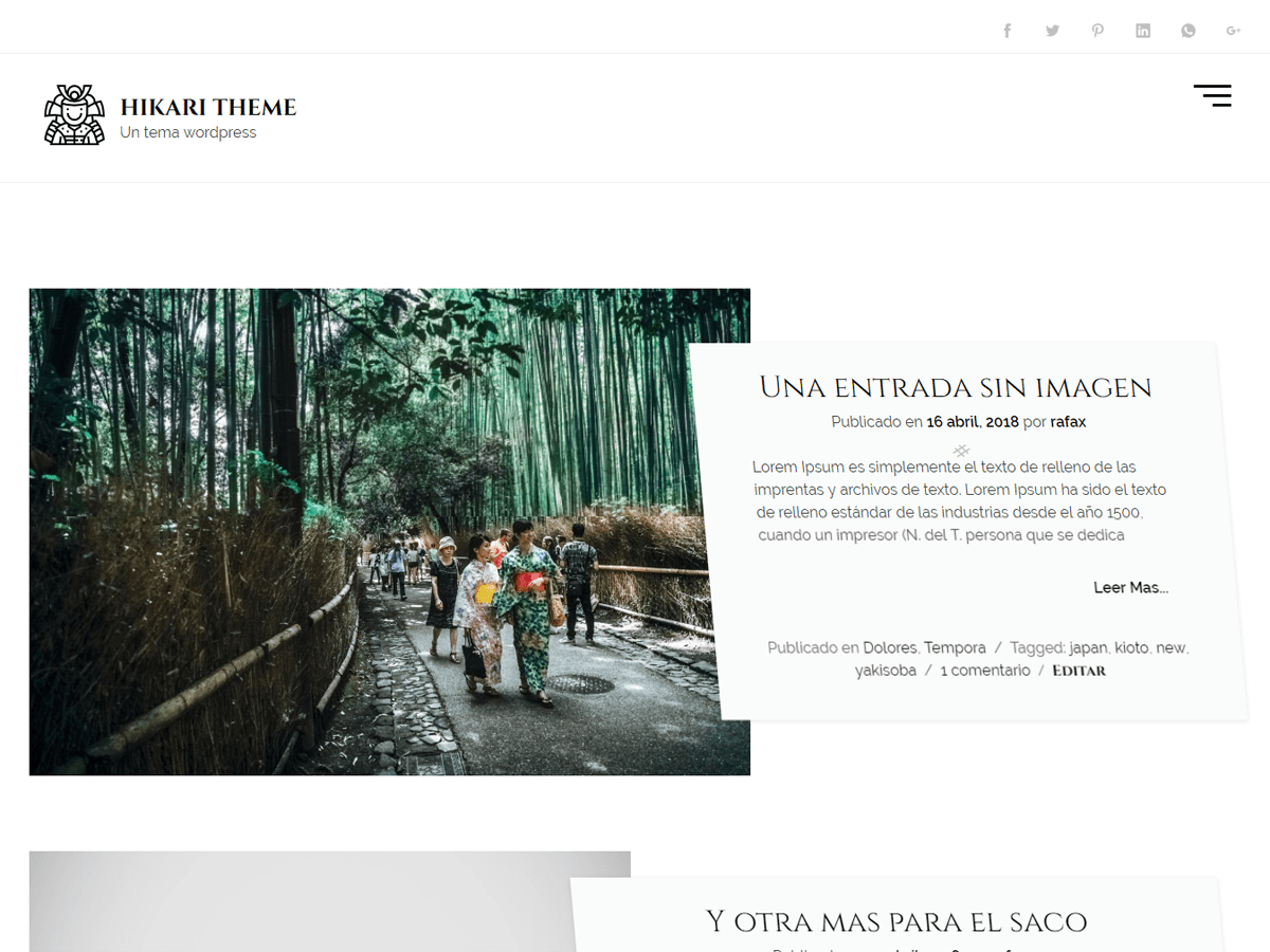 hikaru theme websites examples