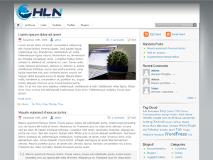 hln WordPress theme, websites list used hln theme hln theme websites examples