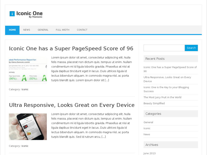 Iconic One website example screenshot