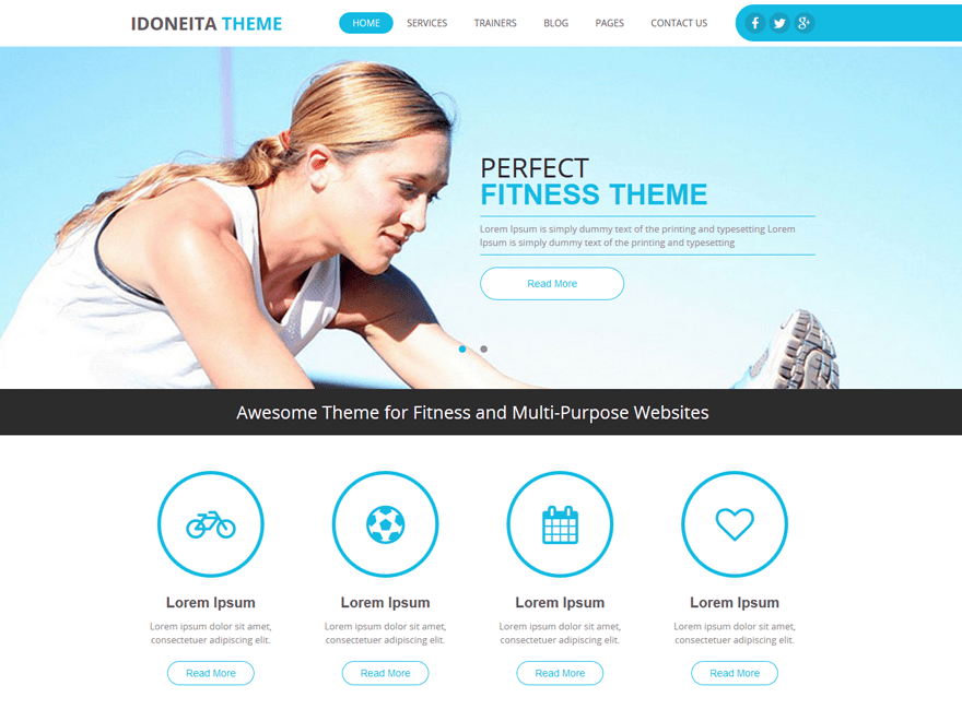 idoneita theme websites examples