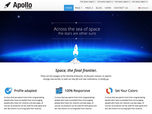 igomoon-voyager theme websites examples