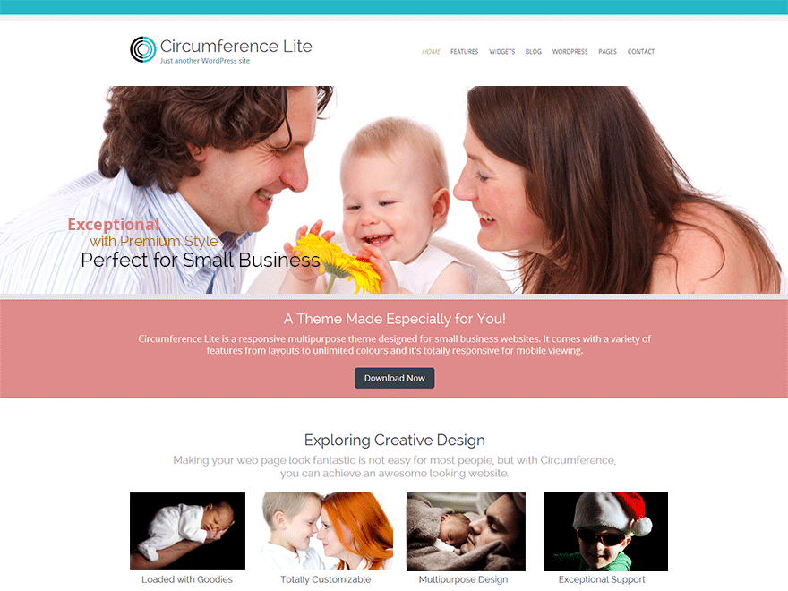 interagire WordPress theme, websites list used interagire theme interagire theme websites examples