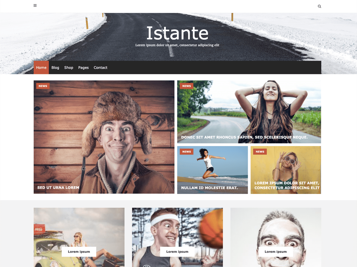 istante theme websites examples