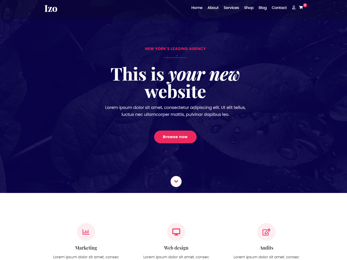 Izo theme websites examples