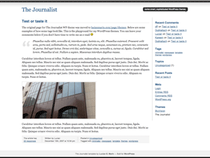 Journalist website example screenshot