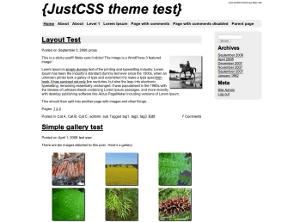 JustCSS theme websites examples