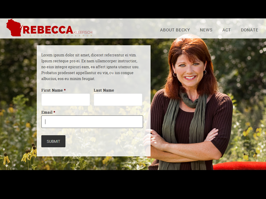 kleefisch theme websites examples