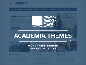 lectura theme websites examples