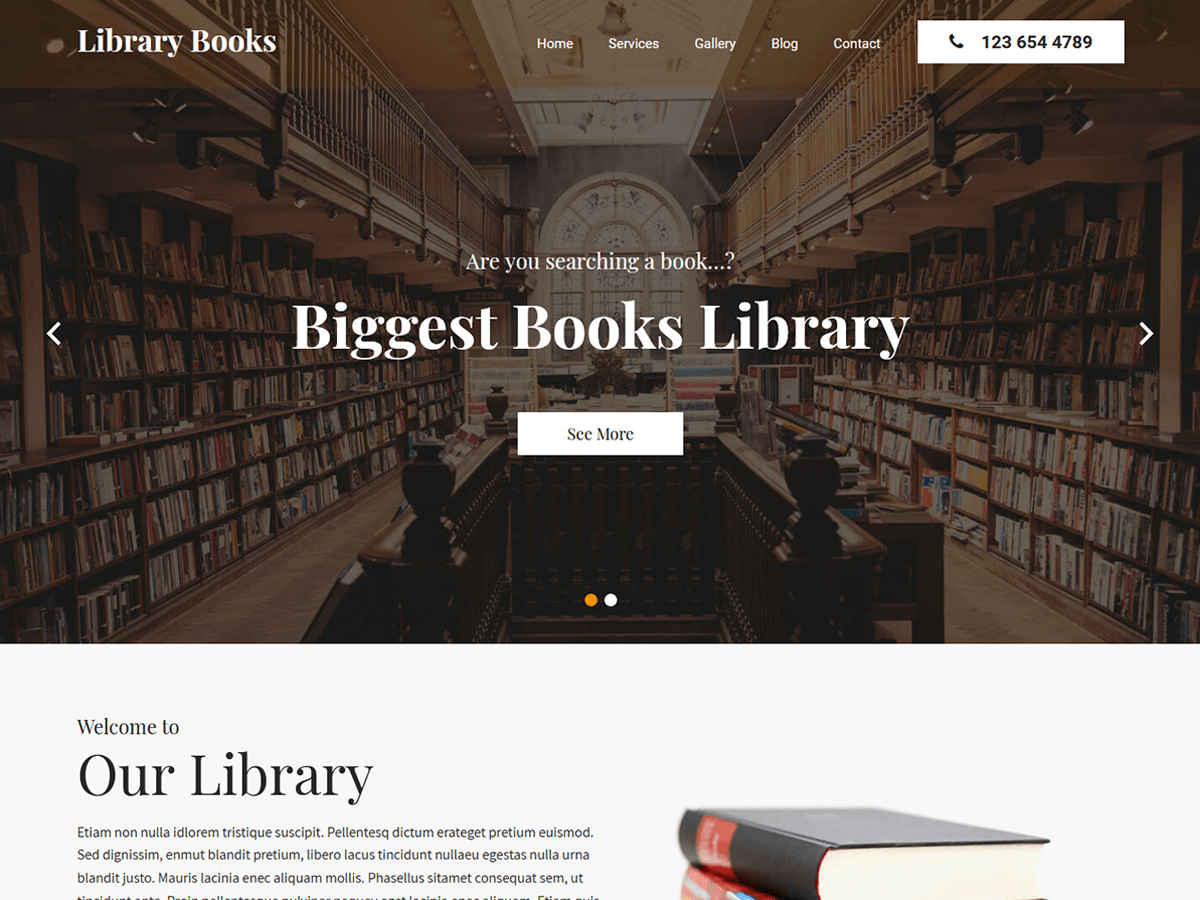 library-books theme websites examples