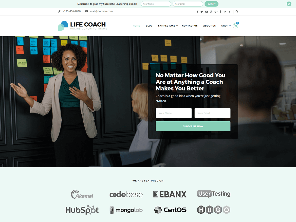 life-coach theme websites examples
