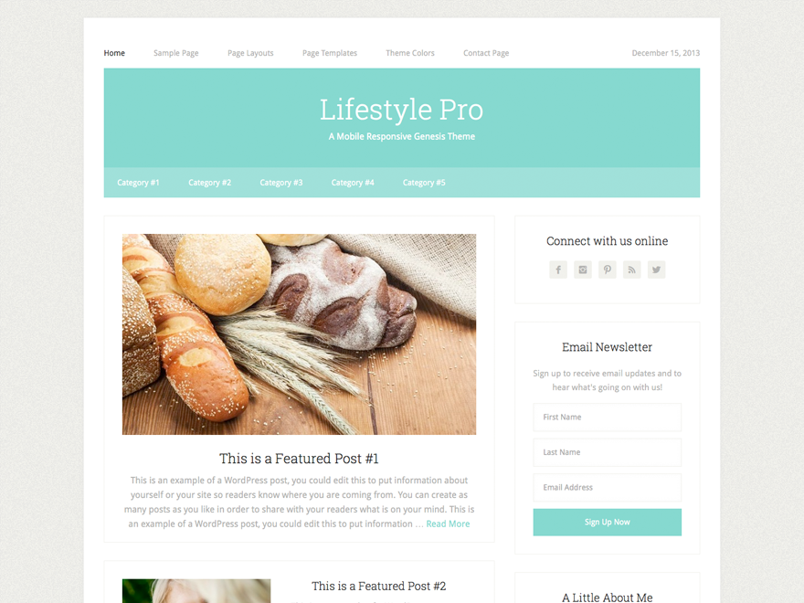 Lifestyle Pro theme websites examples