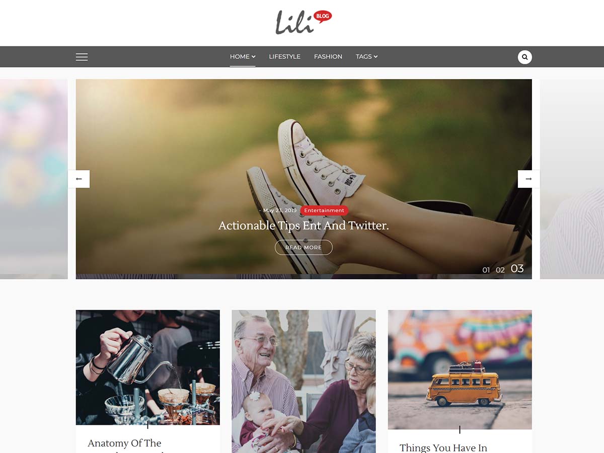 lili-blog theme websites examples