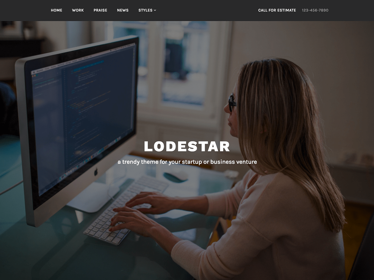 Lodestar website example screenshot
