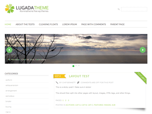 Lugada website example screenshot