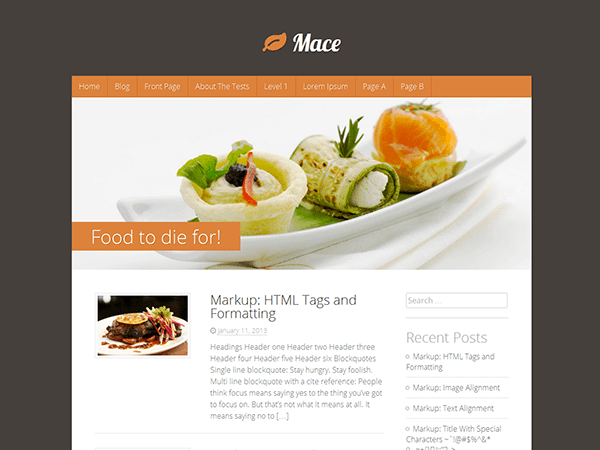 Mace website example screenshot