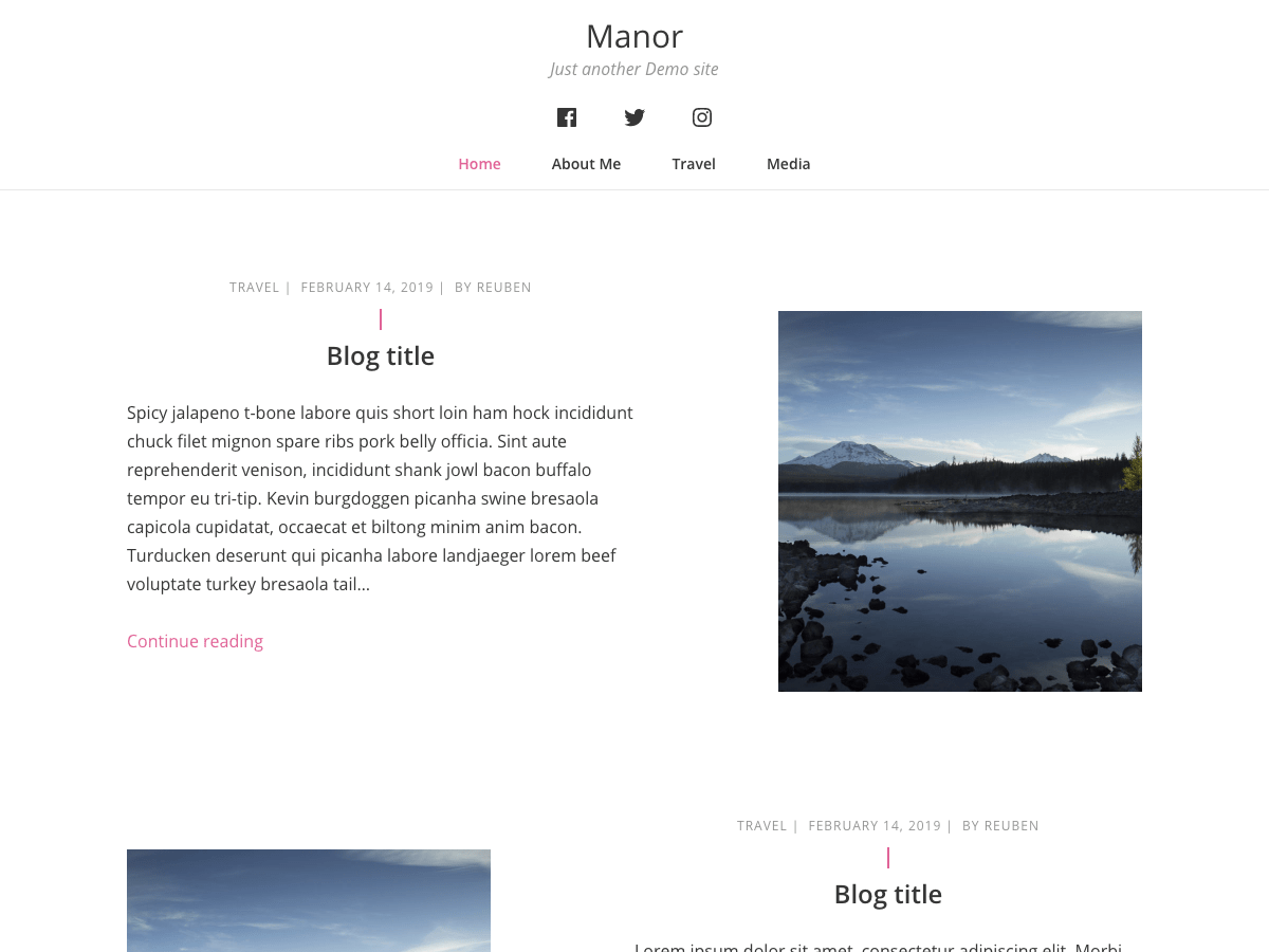 manor theme websites examples