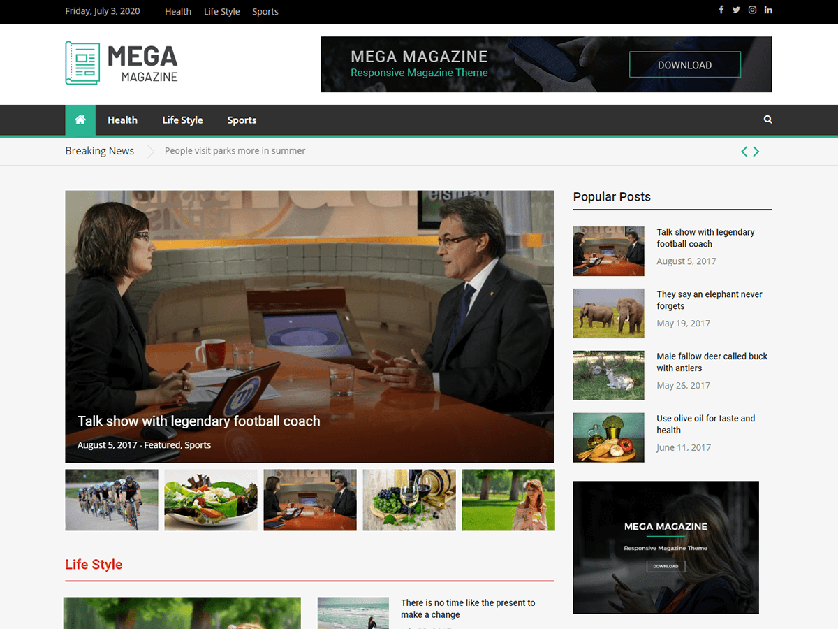 Mega Magazine website example screenshot
