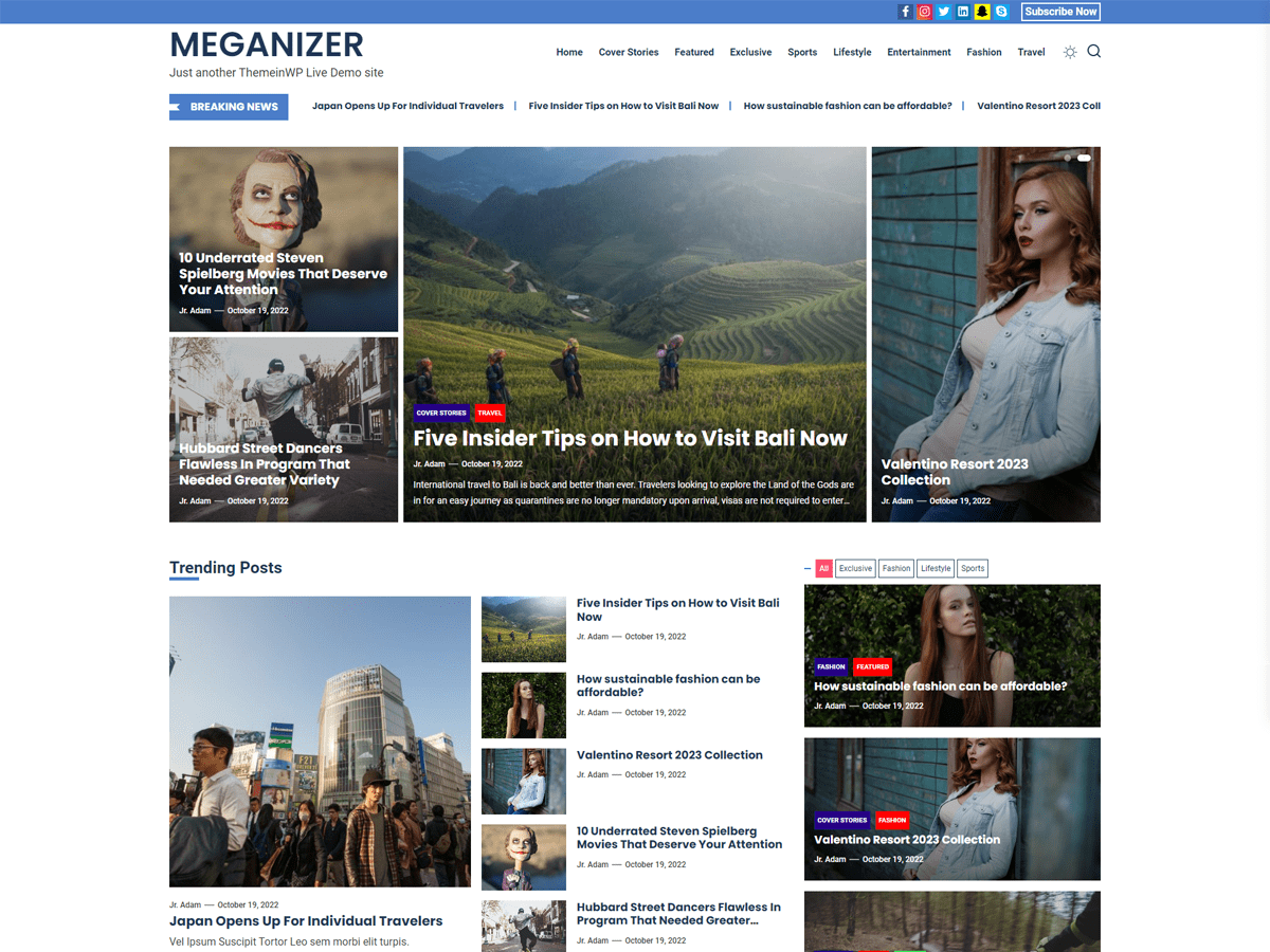 meganizer theme websites examples