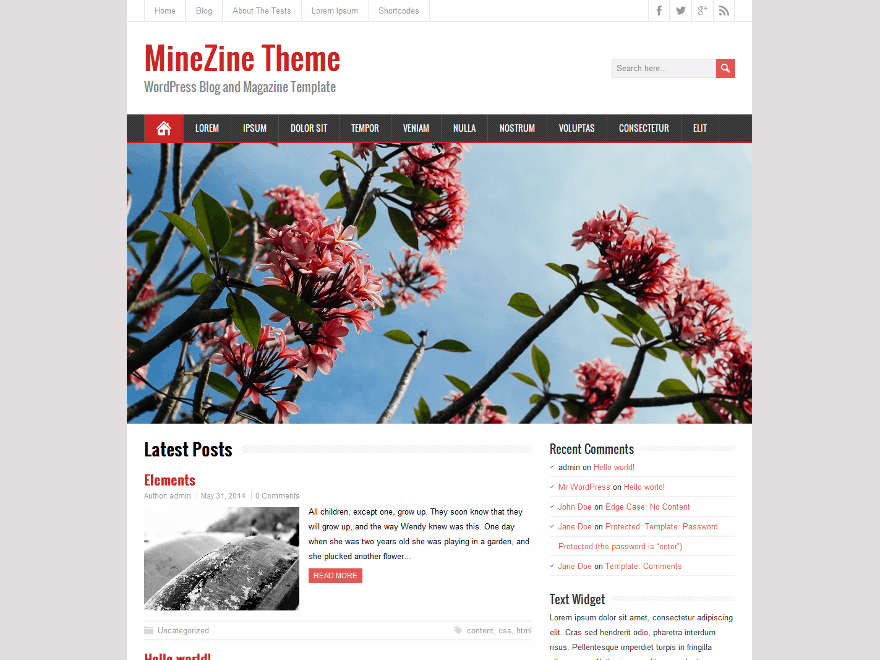 MineZine website example screenshot
