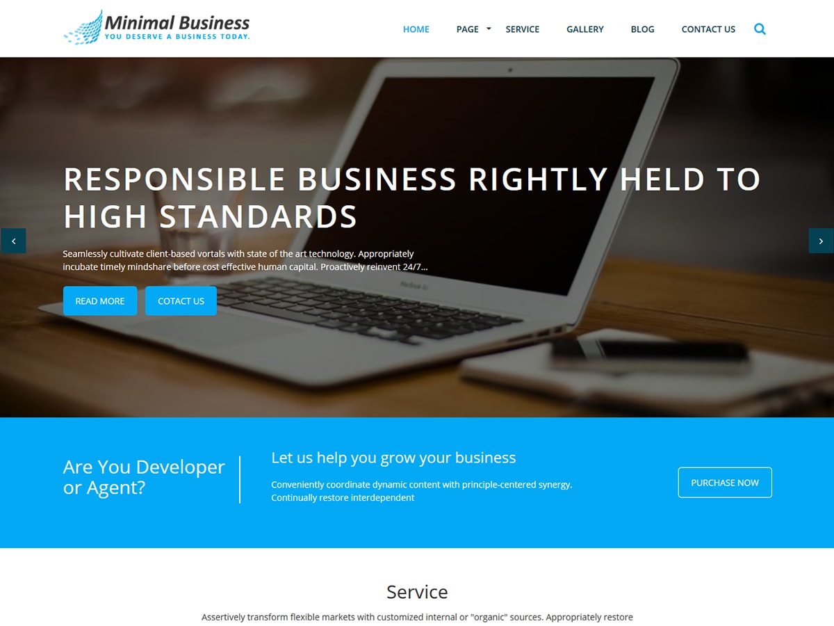 Minimal Business theme websites examples