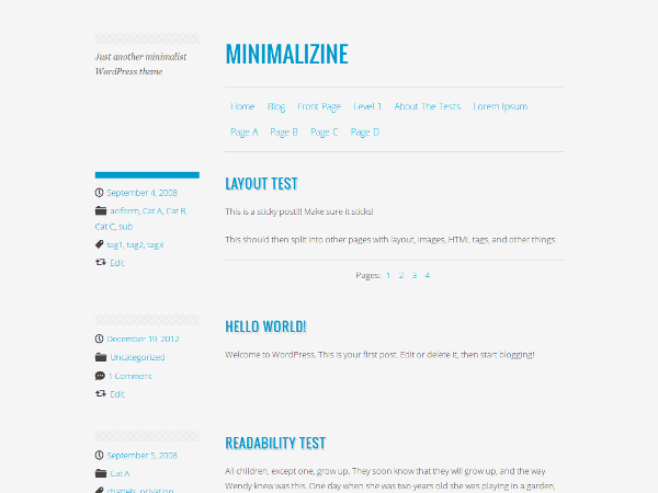 Minimalizine theme websites examples