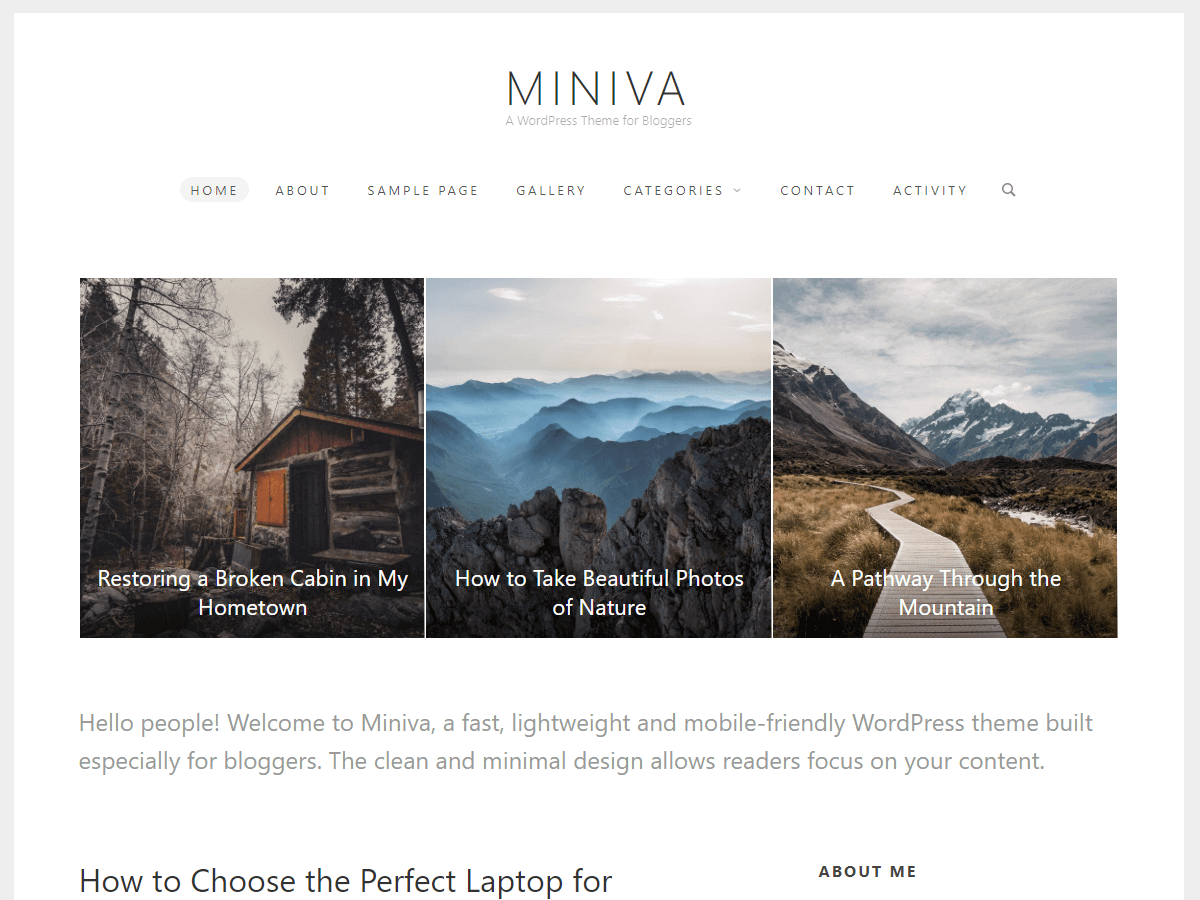 Miniva theme websites examples