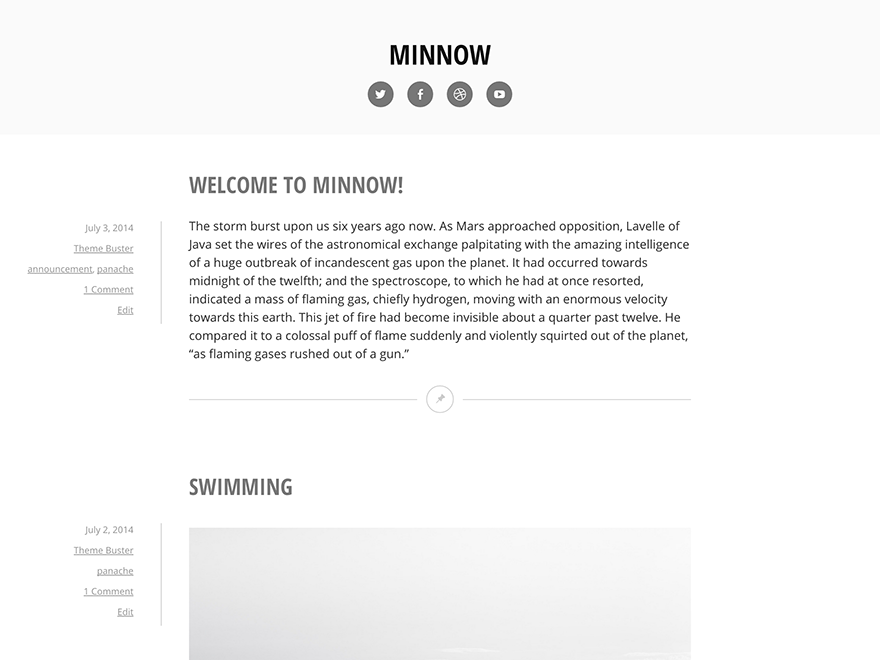 Minnow website example screenshot