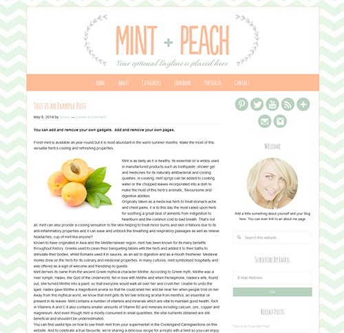 mintandpeach theme websites examples