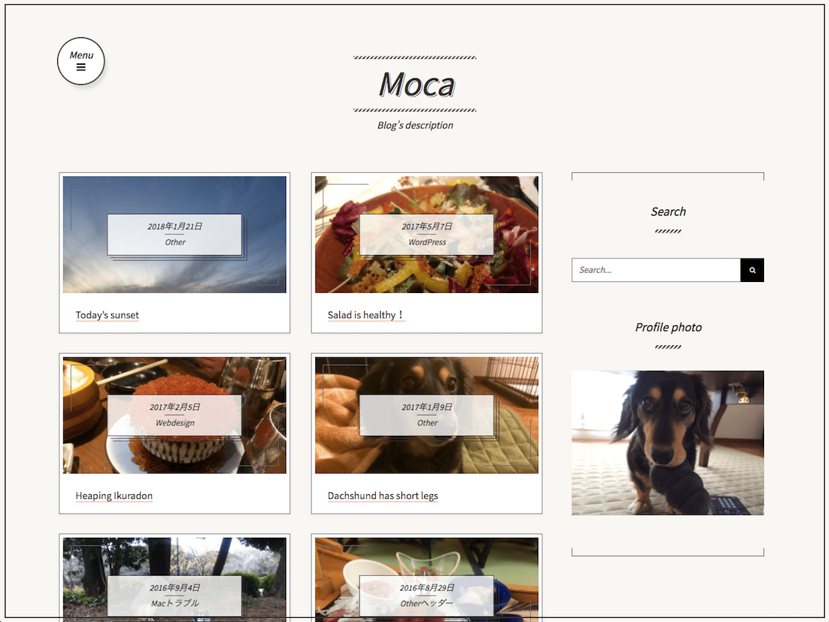 moca theme websites examples