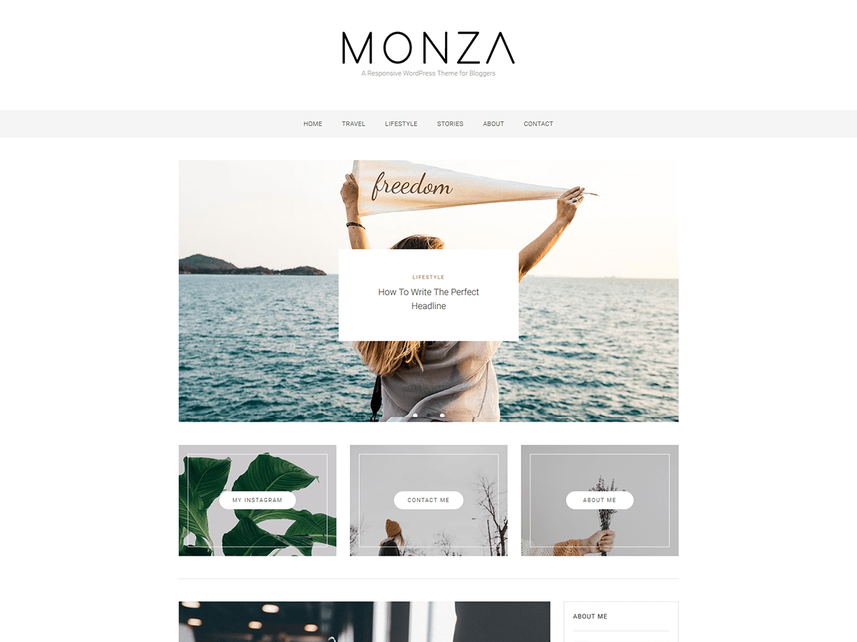 Monza theme websites examples