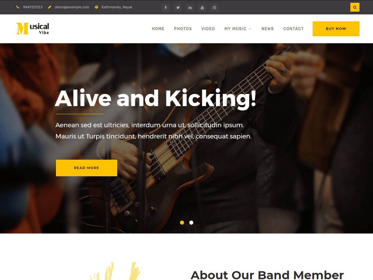 musical-vibe WordPress theme, websites list used musical-vibe theme musical-vibe theme websites examples