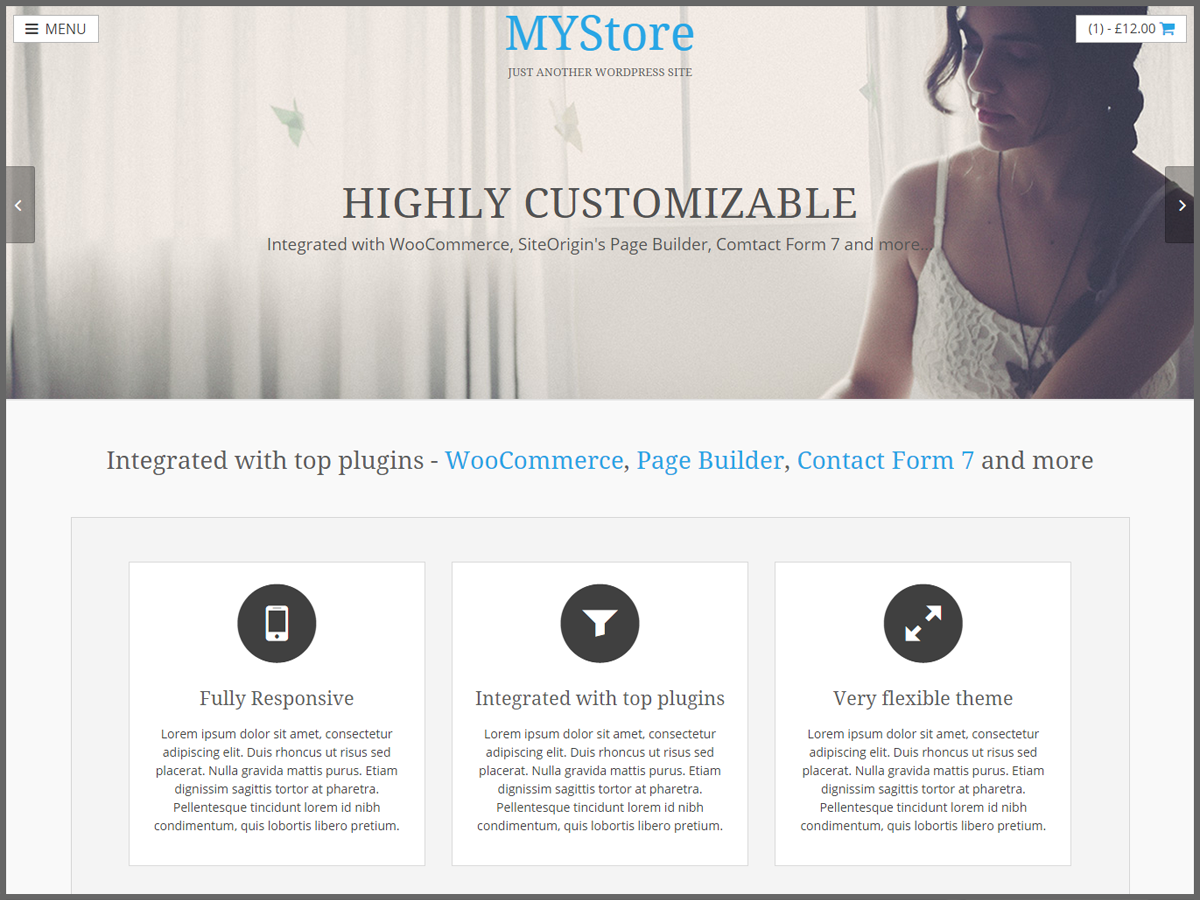 mystore-premium theme websites examples