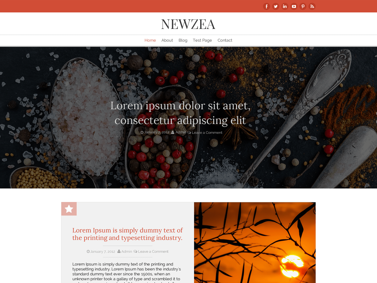 New Zea theme websites examples