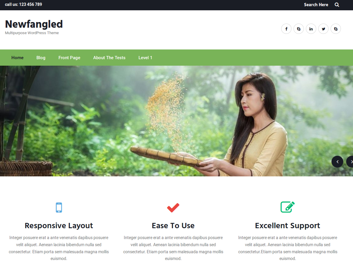 Newfangled theme websites examples