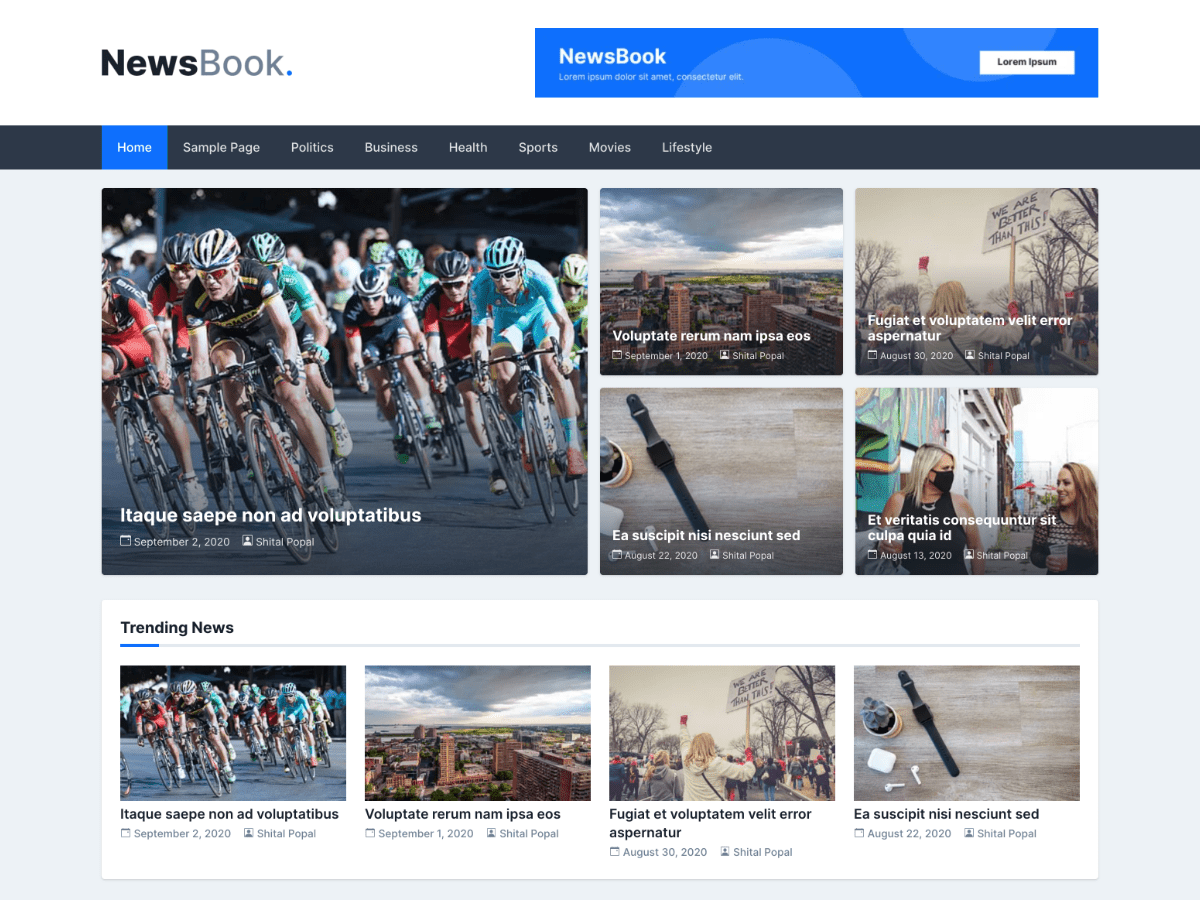 NewsBook theme websites examples