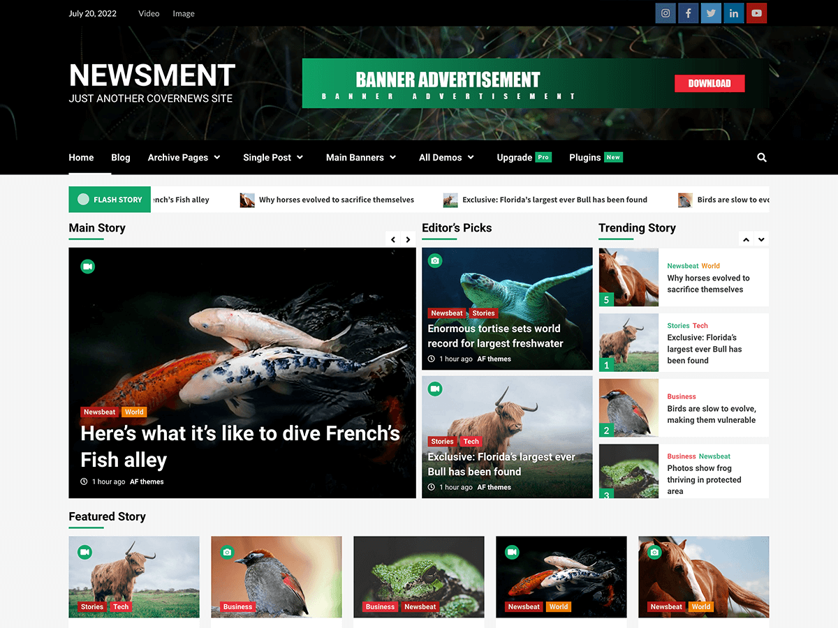 Newsment website example screenshot